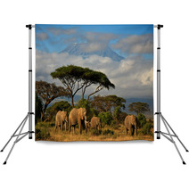 Elephant Family In Front Of Mt. Kilimanjaro Backdrops 34914448