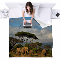 Elephant Family In Front Of Mt. Kilimanjaro Blankets 34914448