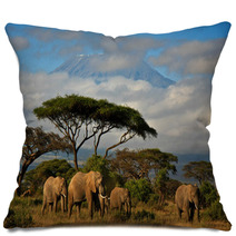 Elephant Family In Front Of Mt. Kilimanjaro Pillows 34914448