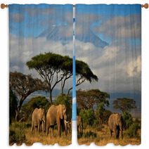 Elephant Family In Front Of Mt. Kilimanjaro Window Curtains 34914448