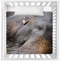 Elephant Nursery Decor 55882868