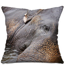 Elephant Pillows 55882868