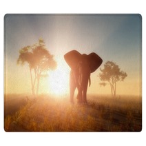 Elephant Rugs 102807181