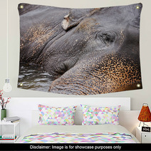 Elephant Wall Art 55882868