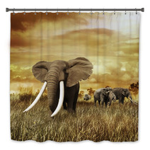 Elephants At Sunset Bath Decor 58462231