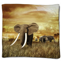 Elephants At Sunset Blankets 58462231