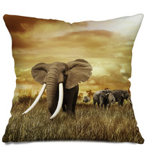 Elephants At Sunset Pillows 58462231