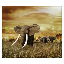 Elephants At Sunset Rugs 58462231
