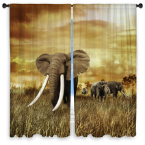 Elephants At Sunset Window Curtains 58462231