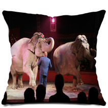 Elephants Pillows 1168264