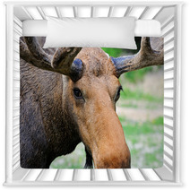 Elk Nursery Decor 56825144