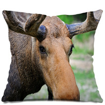 Elk Pillows 56825144