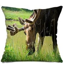 Elk Pillows 56825153