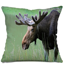 Elk Pillows 56825159