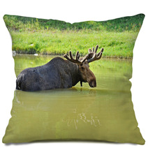 Elk Pillows 56825165