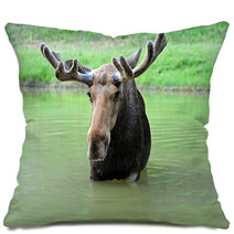 Elk Pillows 56825177
