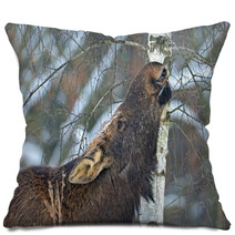 Elk Pillows 66967381