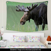 Elk Wall Art 56825159