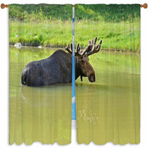 Elk Window Curtains 56825165