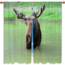 Elk Window Curtains 56825177