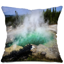 Emerald Springs Pillows 61240440