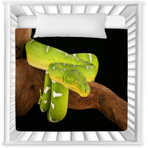 Emerald Tree Boa  ( Corallus Caninus) Nursery Decor 32955340