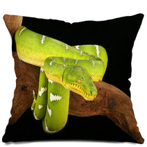 Emerald Tree Boa  ( Corallus Caninus) Pillows 32955340