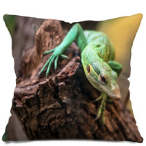 Emerald Tree Monitor, Varanus Prasinus, Climbing On Tree Stump Pillows 67631126