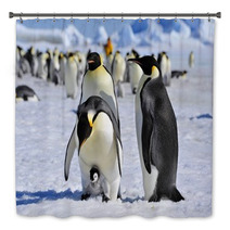 Emperor Penguin Bath Decor 27466406