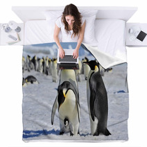 Emperor Penguin Blankets 27466406