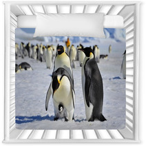 Emperor Penguin Nursery Decor 27466406