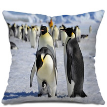 Emperor Penguin Pillows 27466406