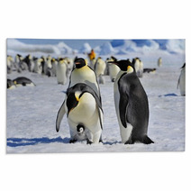 Emperor Penguin Rugs 27466406