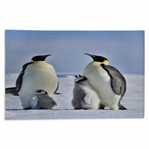 Emperor Penguin Rugs 27468295