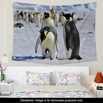 Emperor Penguin Wall Art 27466406