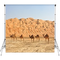 Empty Quarter Camels Backdrops 25614840