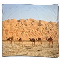 Empty Quarter Camels Blankets 25614840