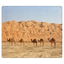 Empty Quarter Camels Rugs 25614840