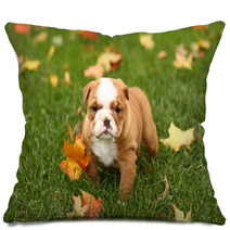 English Bulldog In Grass With Leaves Pillows 17633041