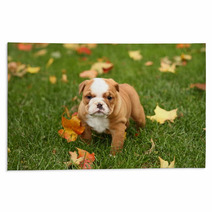 English Bulldog In Grass With Leaves Rugs 17633041