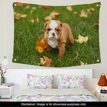 English Bulldog In Grass With Leaves Wall Art 17633041