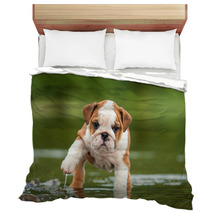 English Bulldog Puppy In The Water Bedding 58776564