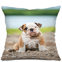English Bulldog Puppy Sitting Near The River Pillows 58776566