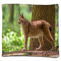 Eurasian Lynx Blankets 83714062