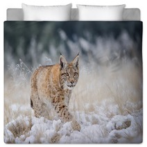 Eurasian Lynx Cub Walking On Snow With High Yellow Grass On Background Bedding 88718195