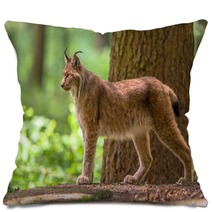 Eurasian Lynx Pillows 83714062