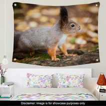 Eurasian Red Squirrel In The Wild Wall Art 99704005