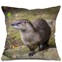 European Otter In Nature. Pillows 69094454
