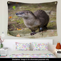 European Otter In Nature. Wall Art 69094454