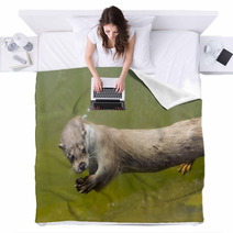 European Otter (Lutra Lutra Lutra) Blankets 85425034